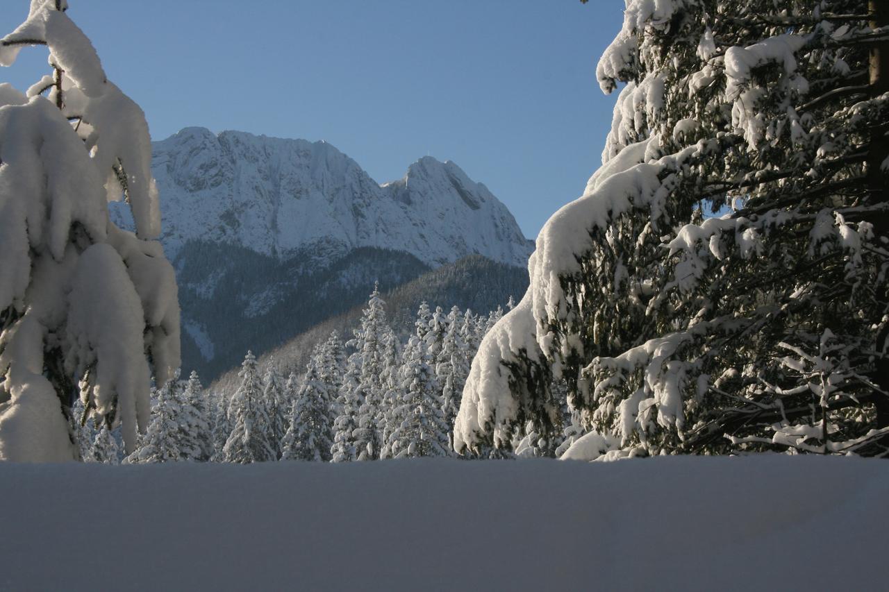 Apartamenty Paradis Zakopane Exterior foto